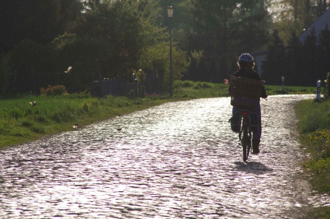 ../previews/000-auf_der_Landstraße.jpg.medium.jpeg