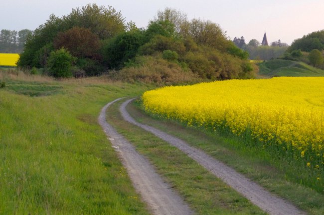 ../previews/002-Feldweg.jpg.medium.jpeg