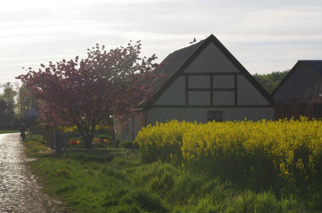 ../previews/010-im_Dorf.jpg.medium.jpeg
