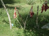 ../thumbnails/002-R0022675.JPG.small.jpeg