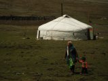 ../thumbnails/068-R0022302.JPG.small.jpeg