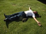 ../thumbnails/073-R0022428.JPG.small.jpeg