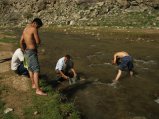 ../thumbnails/190-R0022459.JPG.small.jpeg