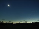 ../thumbnails/191-R0022653.JPG.small.jpeg