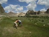 ../thumbnails/217-R0022561.JPG.small.jpeg