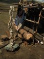 ../thumbnails/260-R0022298.JPG.small.jpeg