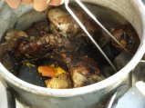 ../thumbnails/284-R0022704.JPG.small.jpeg